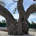 Dimora Del Gufo